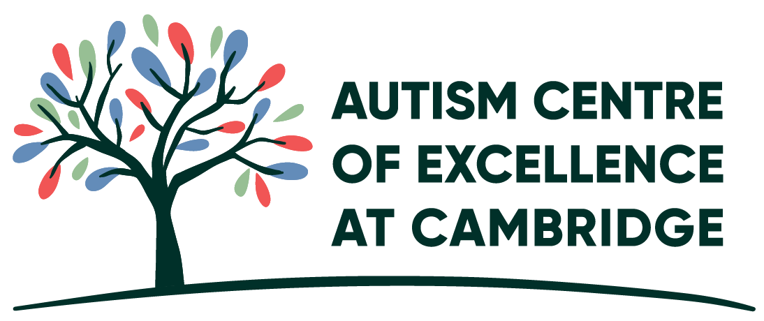 Autism Centre of Excellence